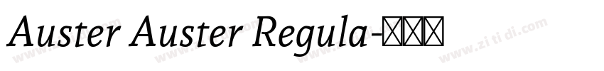 Auster Auster Regula字体转换